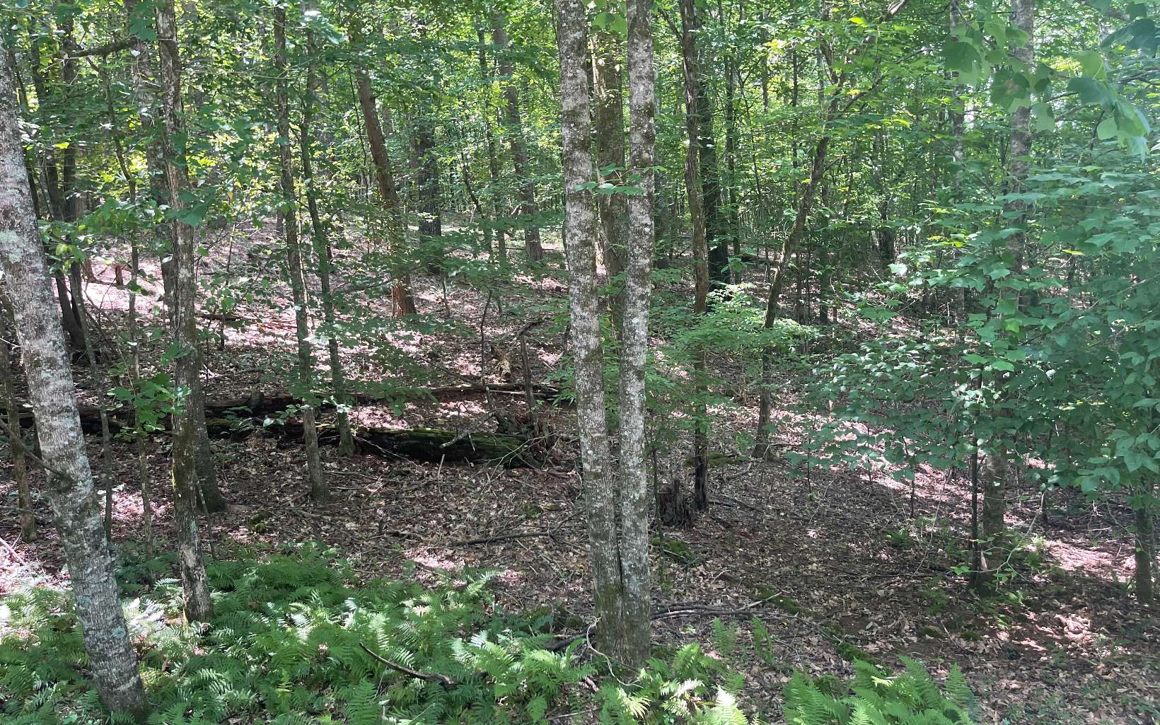 1-2 Hemptown Cliffs Road Morganton, GA 30560 - Photo 9 of 28 Additional View