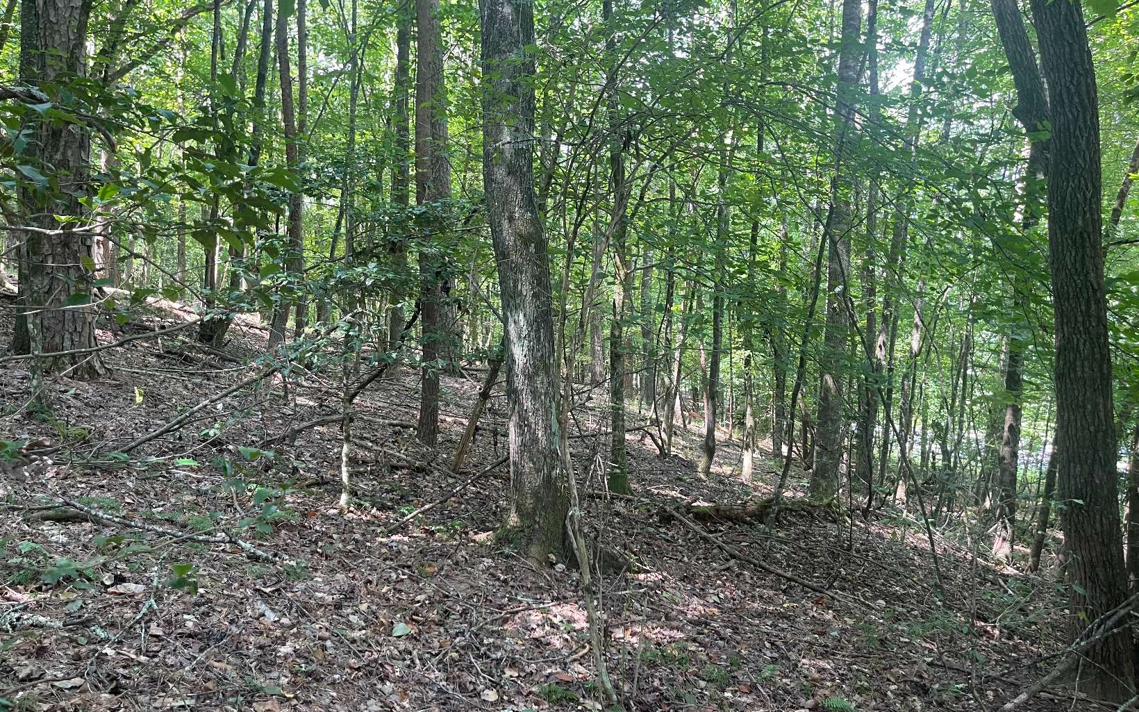 1-2 Hemptown Cliffs Road Morganton, GA 30560 - Photo 10 of 28 Additional View