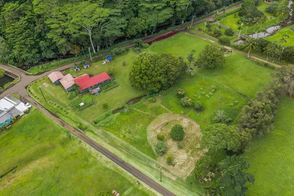 a view of yard