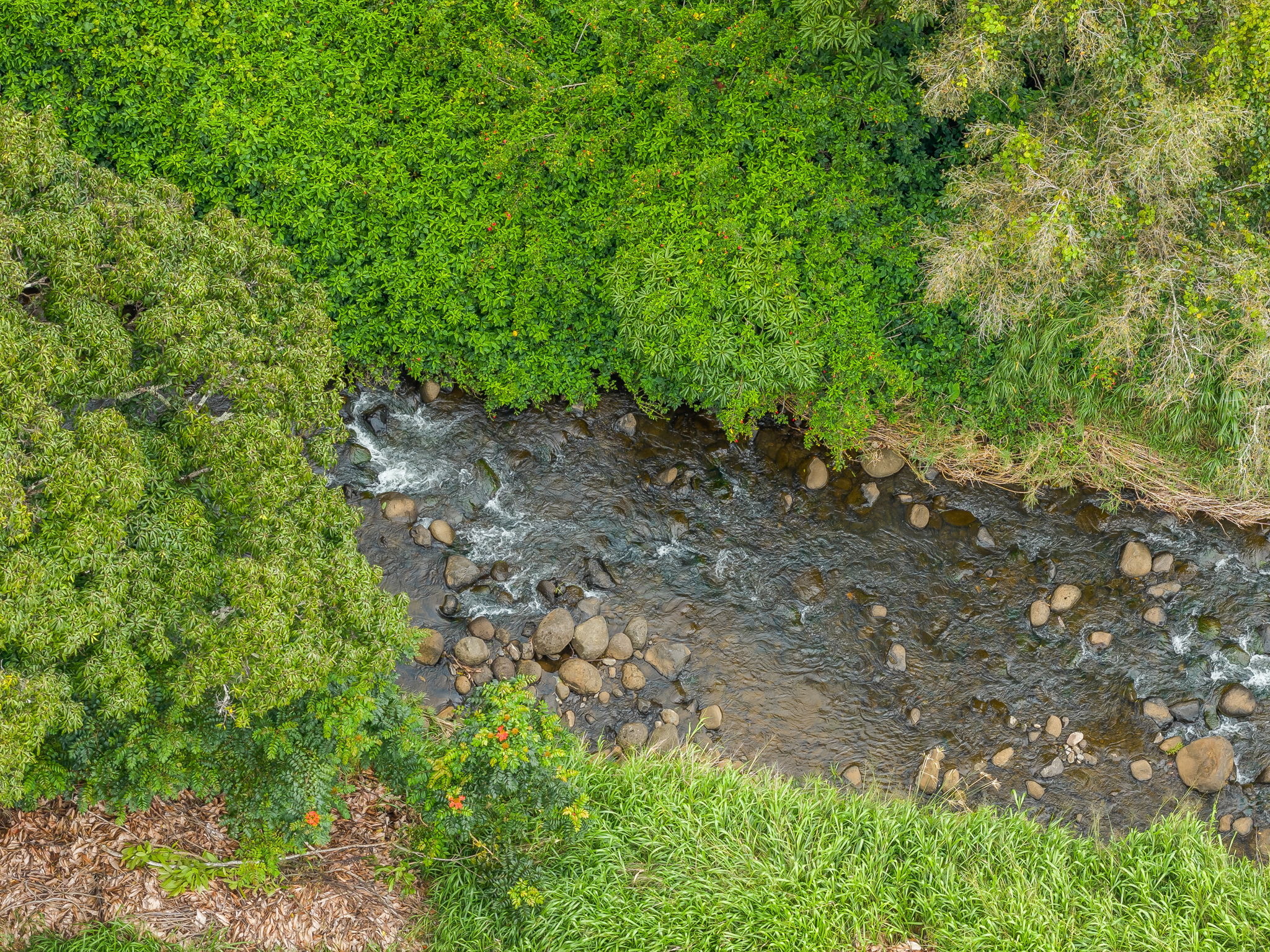 7060 Kahuna Road Kapaa, HI 96746 - Photo 2 of 25 a backyard of a house with lots of green space