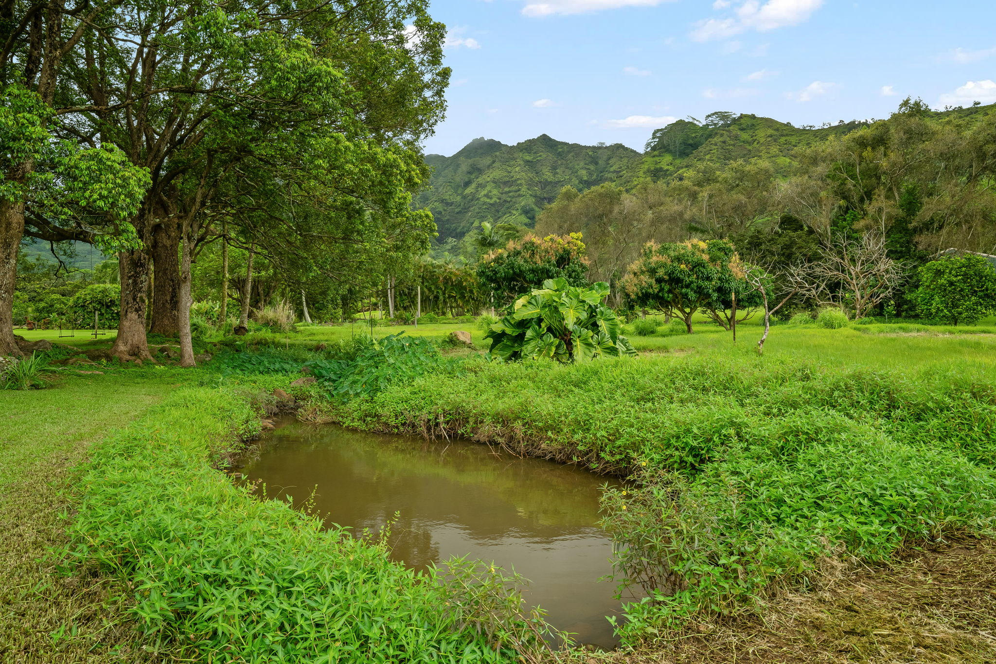 7060 Kahuna Road Kapaa, HI 96746 - Photo 23 of 25 a view of a green field with lots of trees