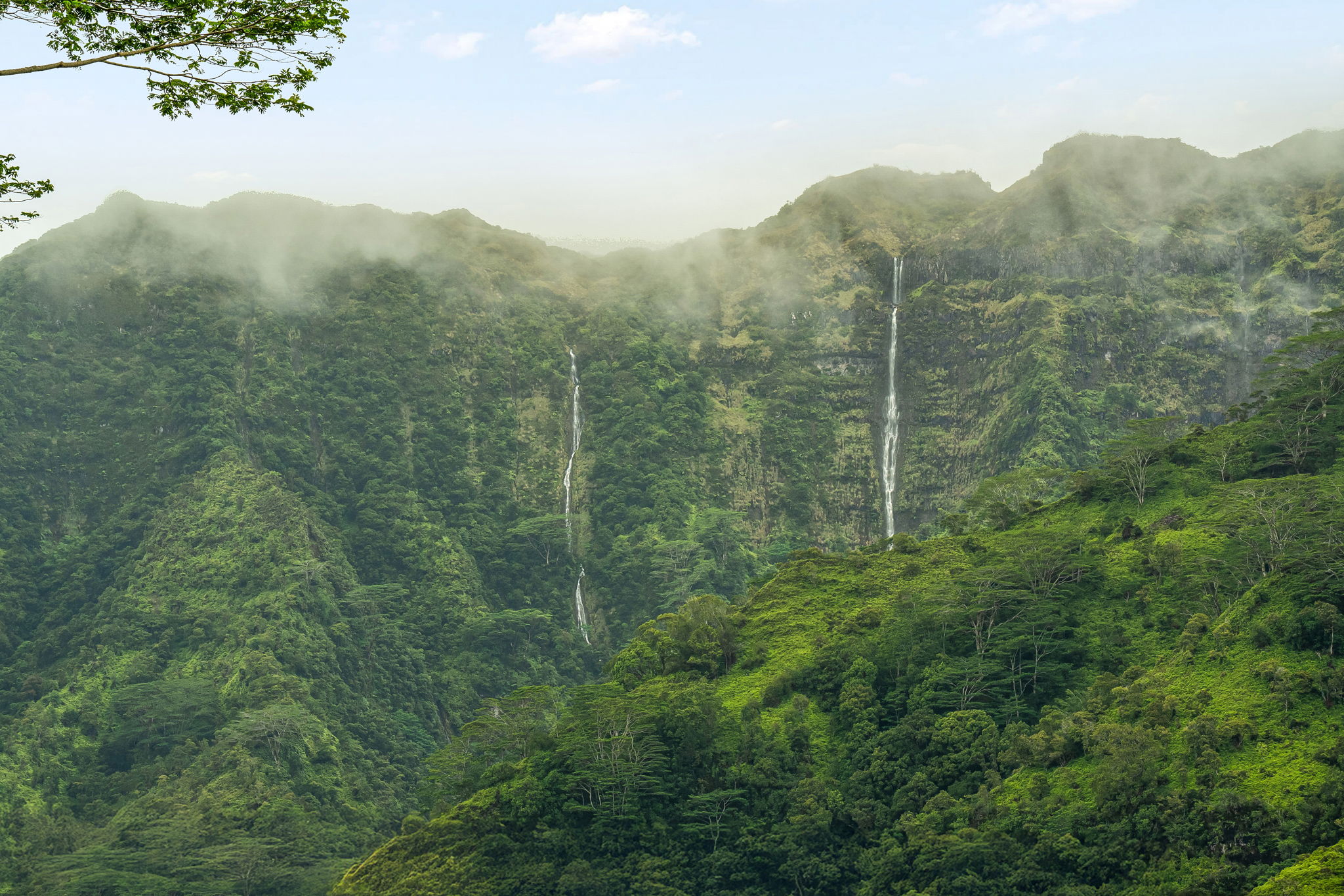 7060 Kahuna Road Kapaa, HI 96746 - Photo 4 of 25 a view of a mountain range with trees in the background