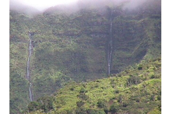 7060 Kahuna Road Kapaa, HI 96746 - Photo 5 of 25 a view of a dry yard