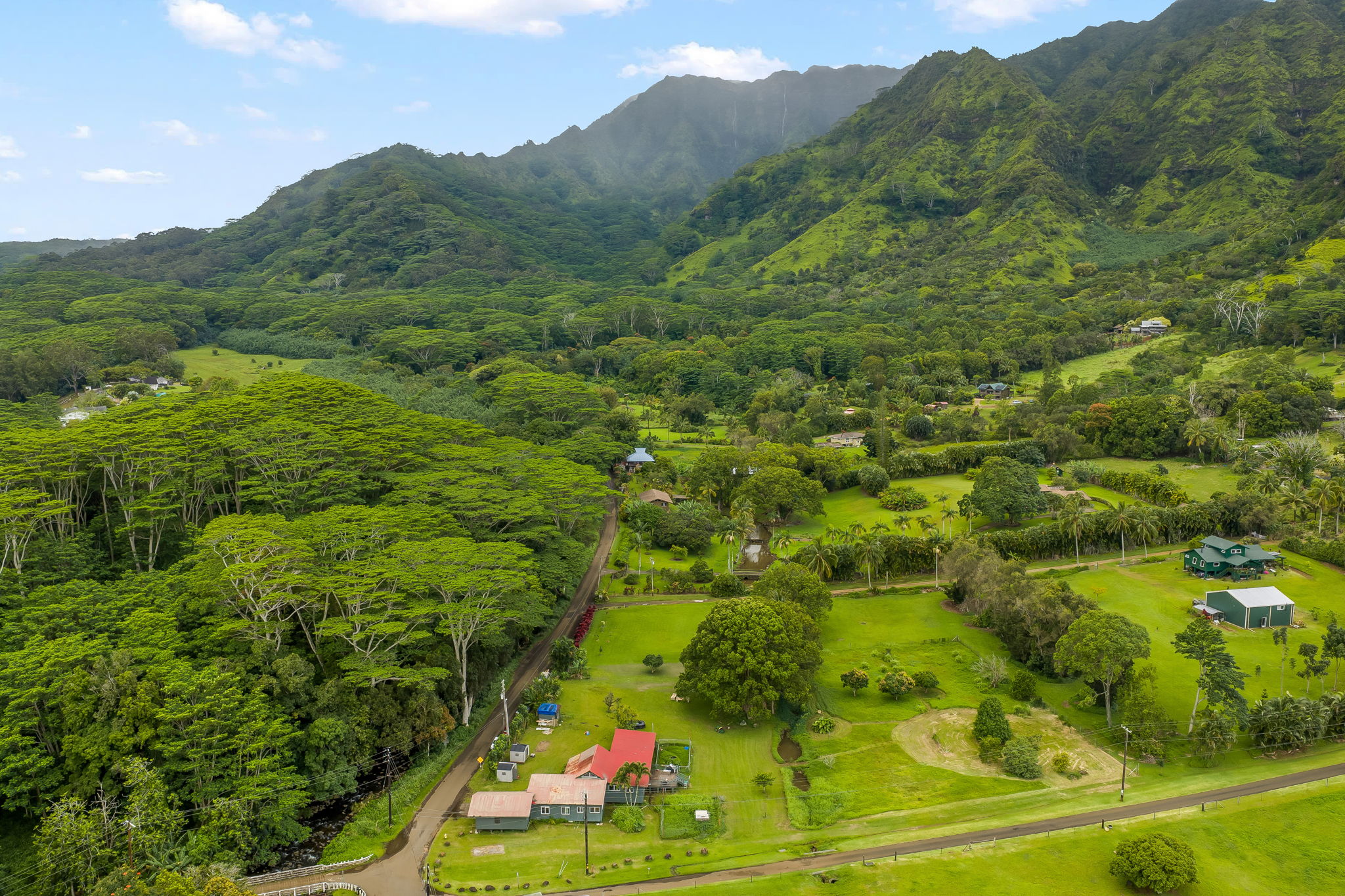 7060 Kahuna Road Kapaa, HI 96746 - Photo 6 of 25 a view of a lush green forest with trees and houses