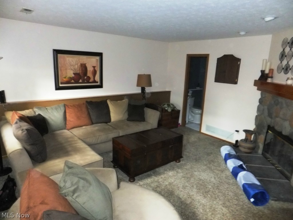 6049 Ridgeview Boulevard North Ridgeville, OH 44039 - Photo 17 of 25 Family room with fireplace and access to full bath.