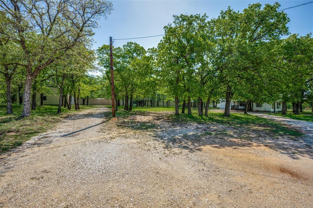 119 Private Road 1186 Decatur, TX 76234 - Photo 4 of 12 a view of a forest with trees in the background