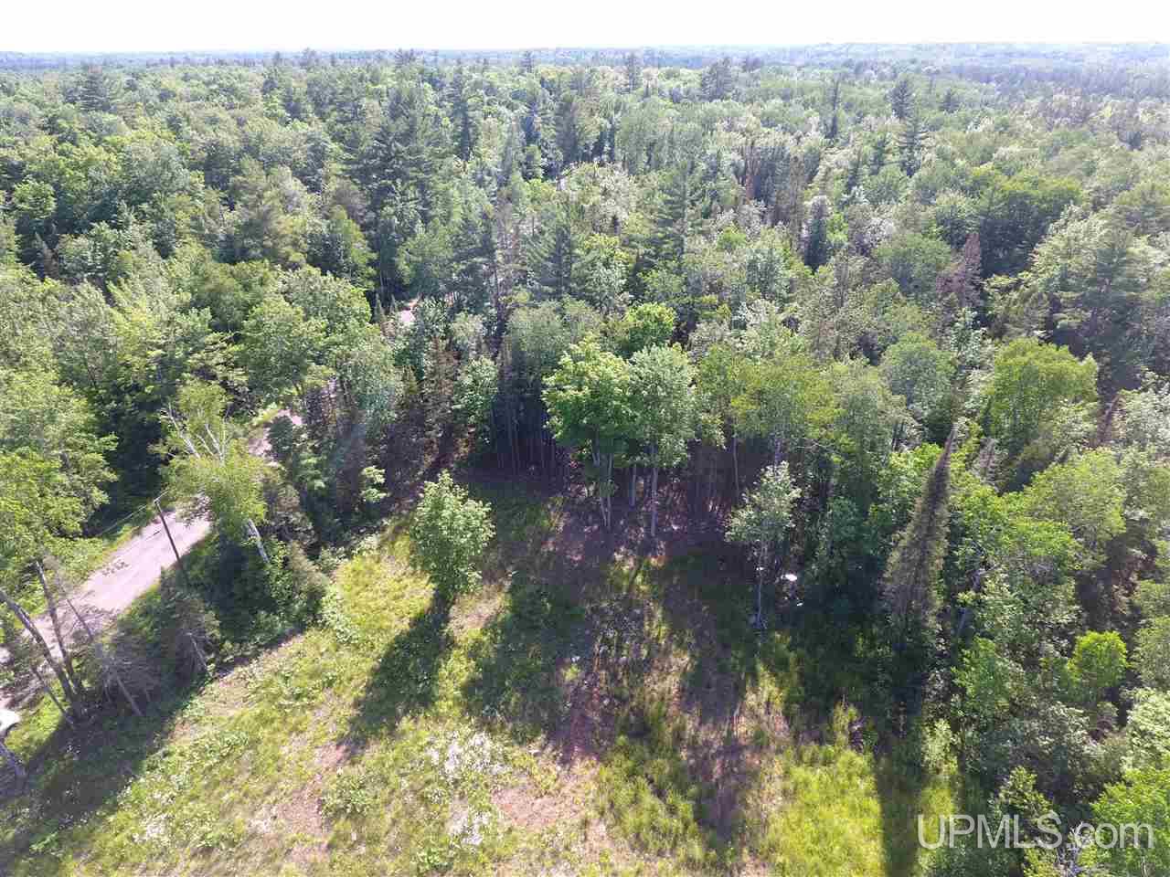 Tbd Co Rd Ppl Ishpeming, MI 49849 - Photo 8 of 30