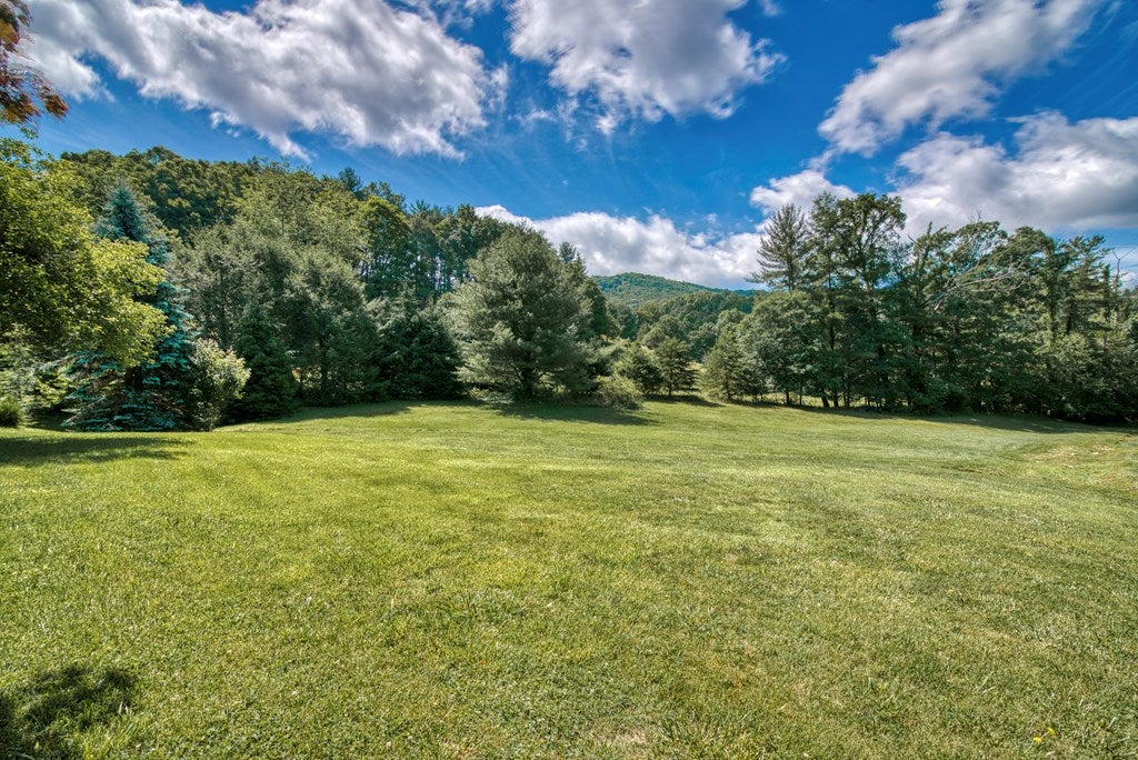 35120 Widener Valley Road Damascus, VA 24236 - Photo 23 of 23 Gallery Image 23