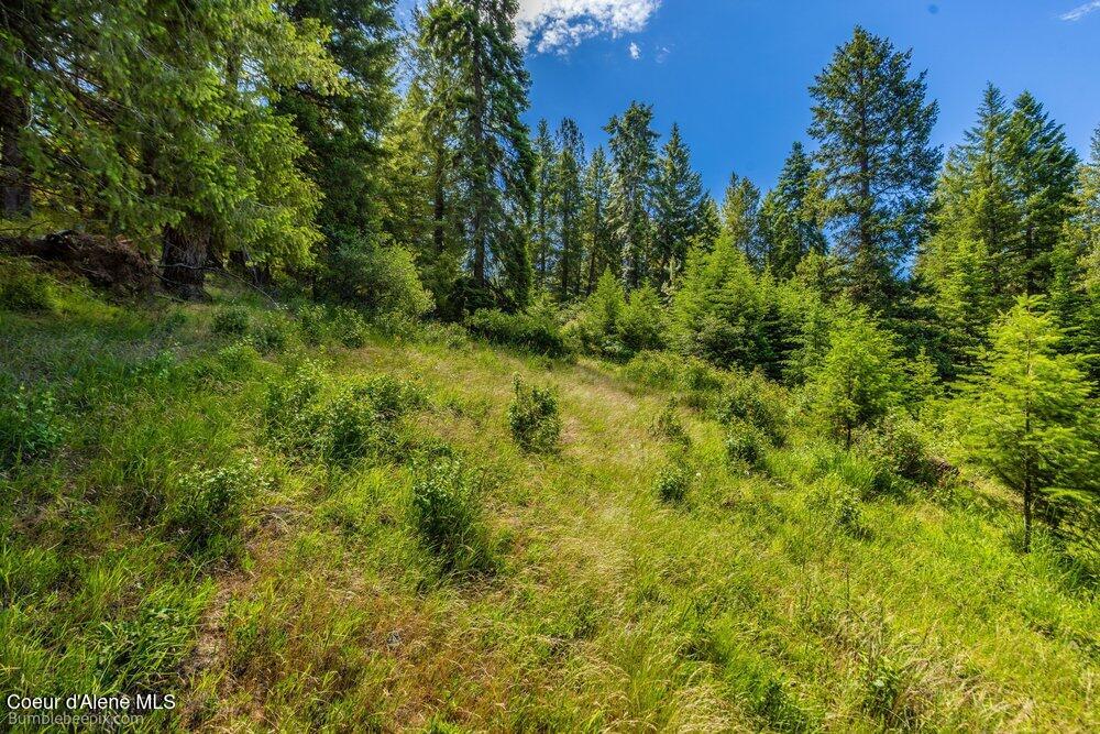 6864 East Sunnyside Road Coeur D'Alene, ID 83814 - Photo 53 of 75 051_bb193663-51_836