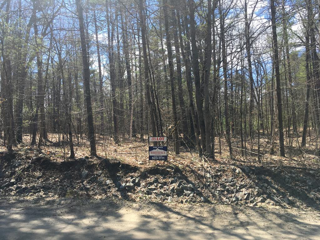 75 River Road Jay, NY 12941 - Photo 2 of 2 Gallery Image 2