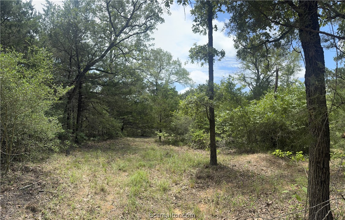 3518 Winding Road Hearne, TX 77859 - Photo 3 of 21 portion of walking path