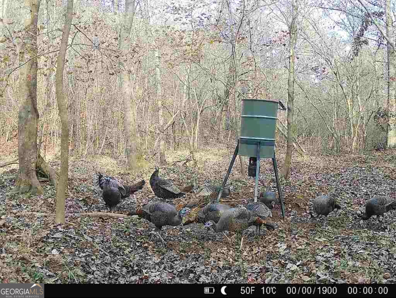 0 Jordan Road, Unit 17 79 ACRES Monticello, GA 31064 - Photo 15 of 38 Gallery Image 15