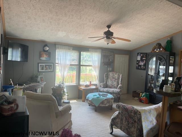 3496 Sinclair Road Moatsville, WV 26405 - Photo 10 of 36 Gallery Image 10