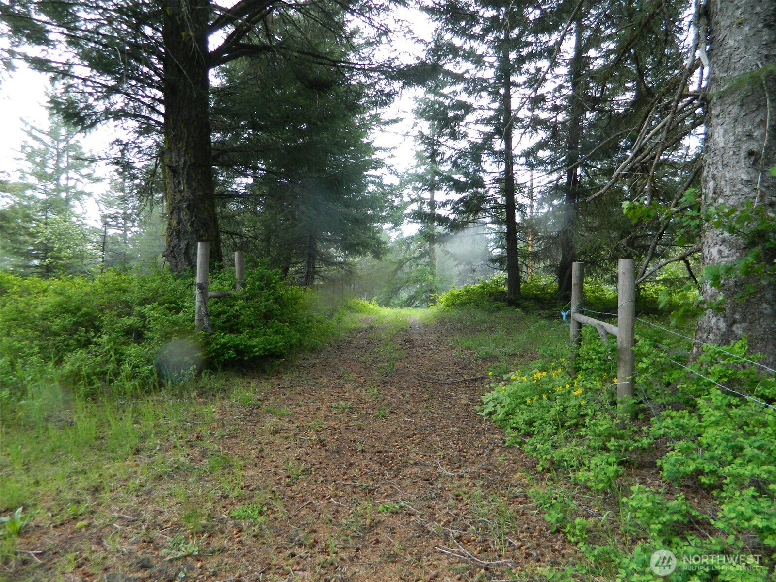0 Tobys Mill Road Tonasket, WA 98855 - Photo 1 of 19 Gallery Image 1