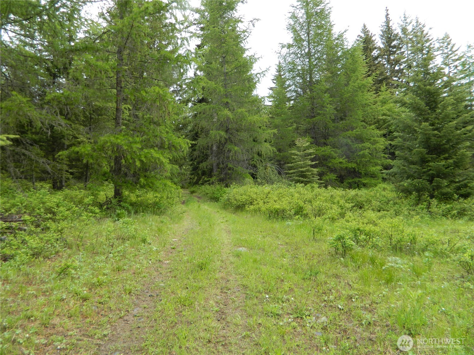 0 Tobys Mill Road Tonasket, WA 98855 - Photo 11 of 19 Gallery Image 11