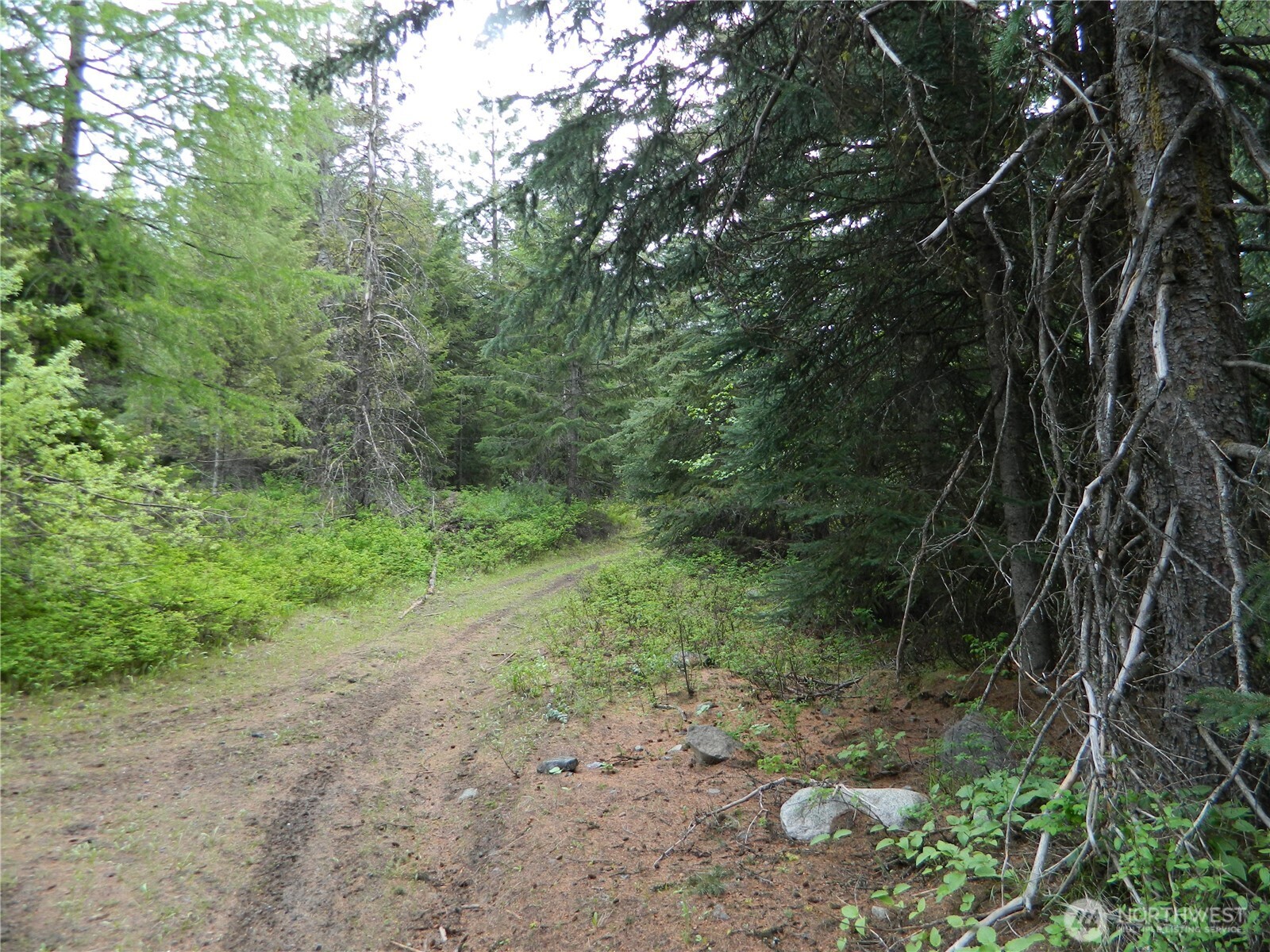 0 Tobys Mill Road Tonasket, WA 98855 - Photo 12 of 19 Gallery Image 12