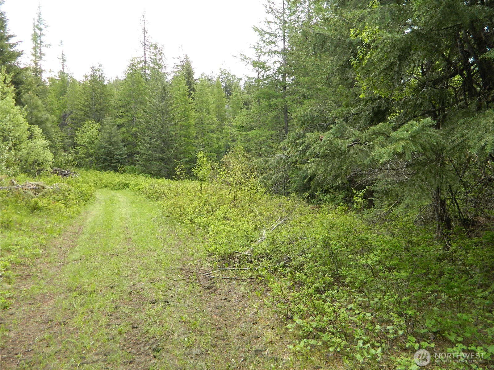 0 Tobys Mill Road Tonasket, WA 98855 - Photo 13 of 19 Gallery Image 13