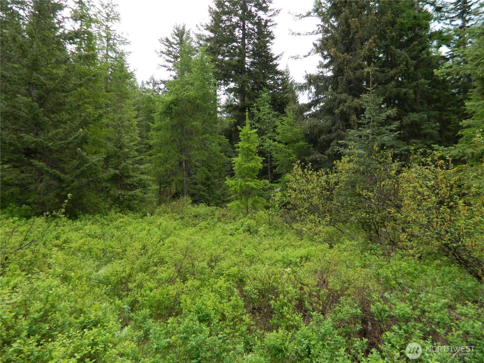 0 Tobys Mill Road Tonasket, WA 98855 - Photo 14 of 19 Gallery Image 14