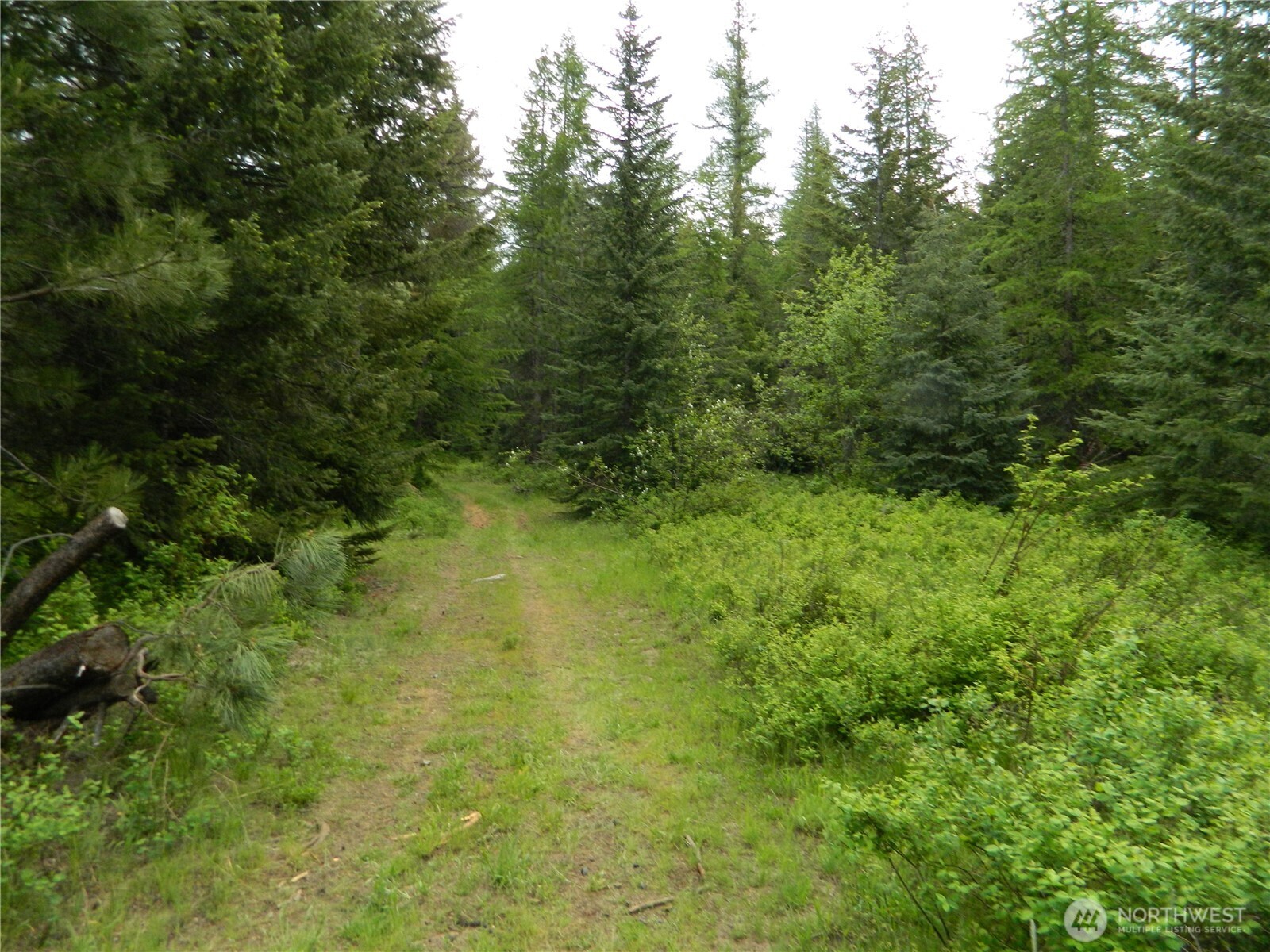 0 Tobys Mill Road Tonasket, WA 98855 - Photo 15 of 19 Gallery Image 15