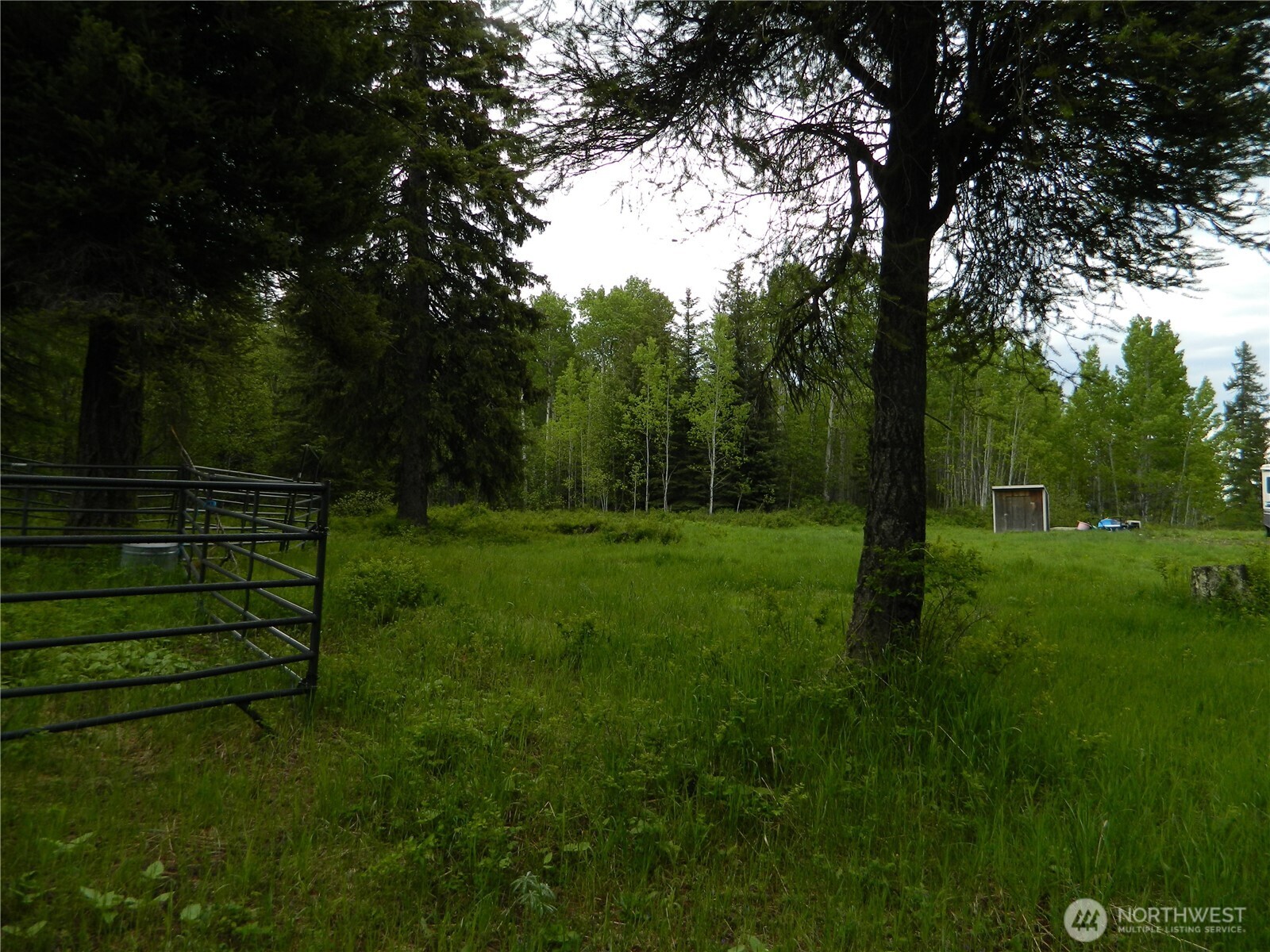 0 Tobys Mill Road Tonasket, WA 98855 - Photo 19 of 19 Gallery Image 19