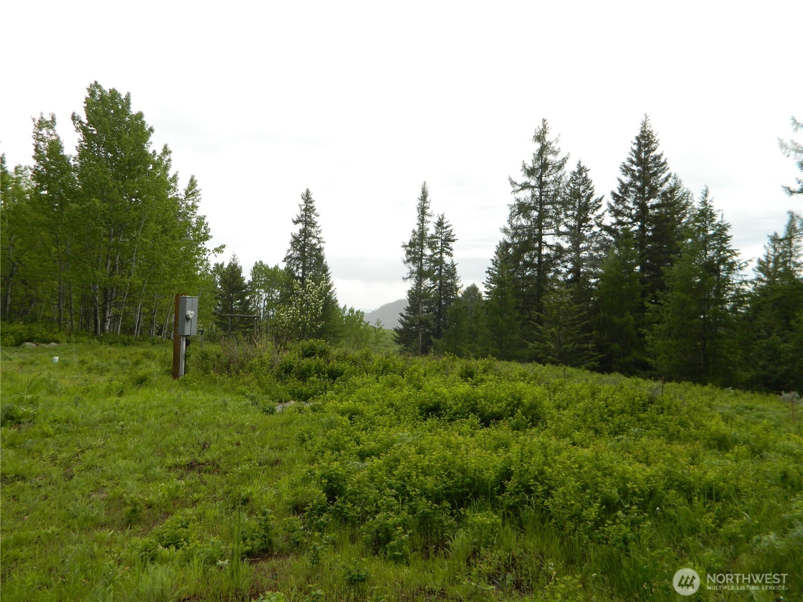 0 Tobys Mill Road Tonasket, WA 98855 - Photo 3 of 19 Gallery Image 3