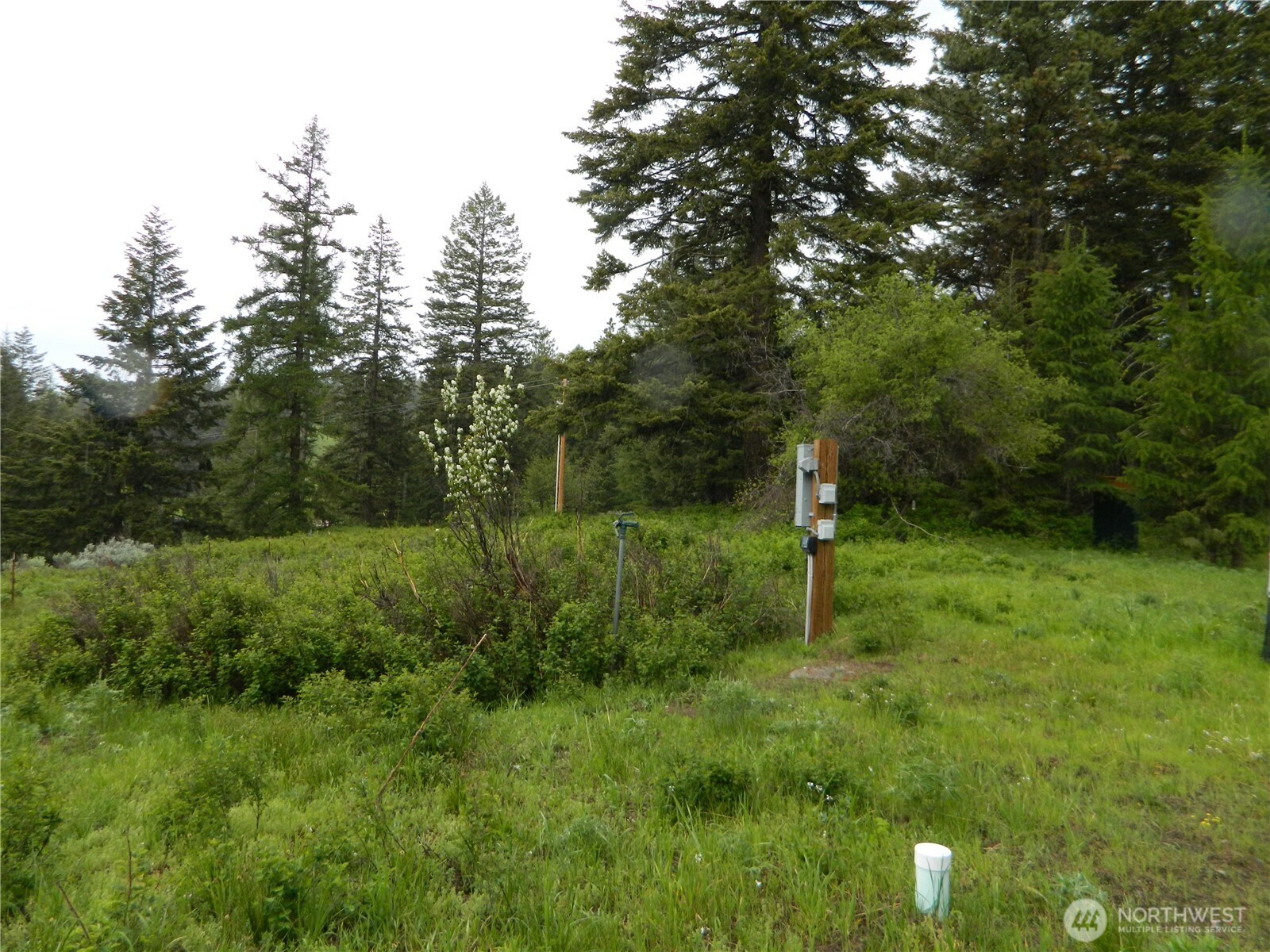 0 Tobys Mill Road Tonasket, WA 98855 - Photo 4 of 19 Gallery Image 4