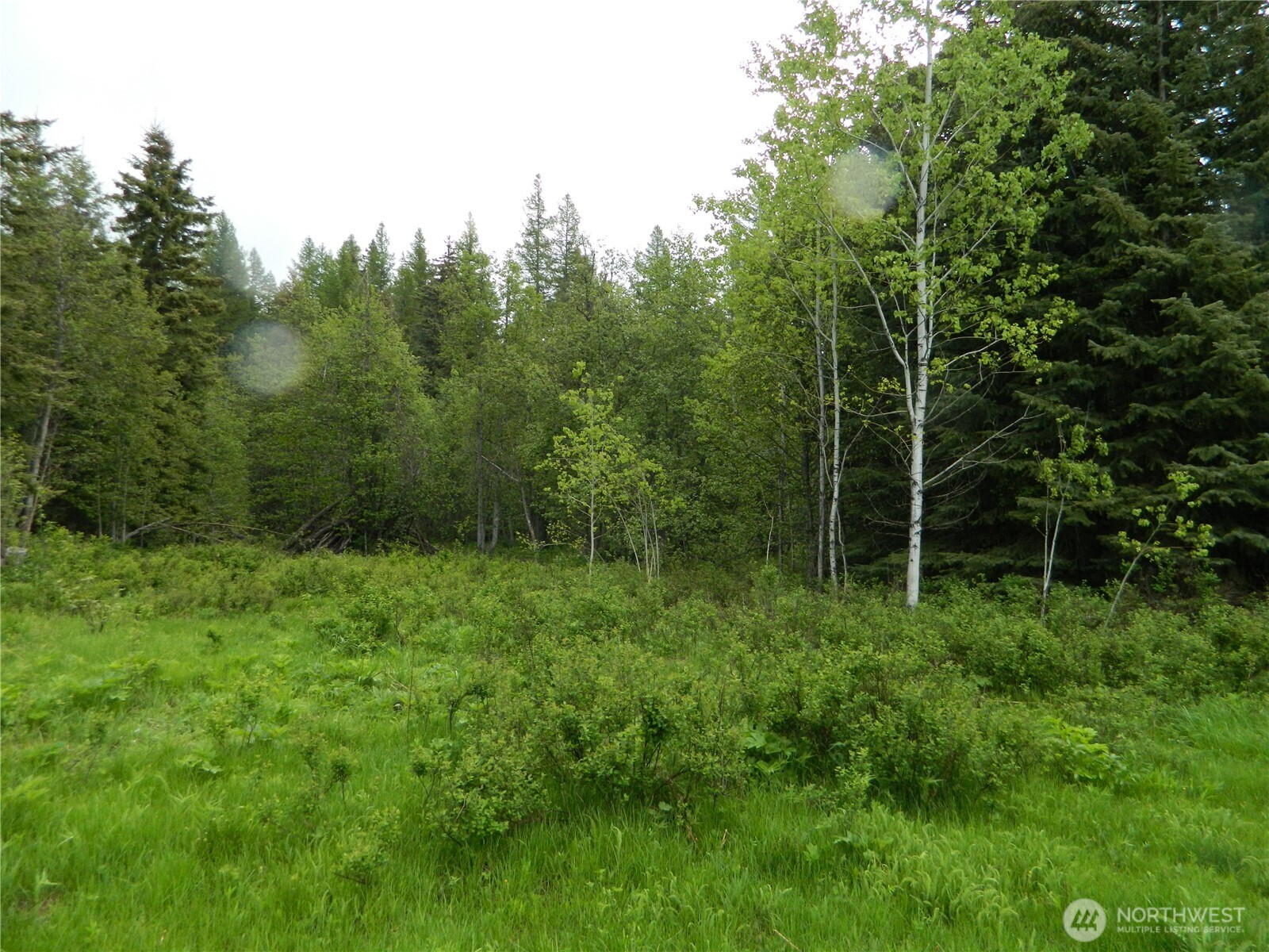 0 Tobys Mill Road Tonasket, WA 98855 - Photo 5 of 19 Gallery Image 5
