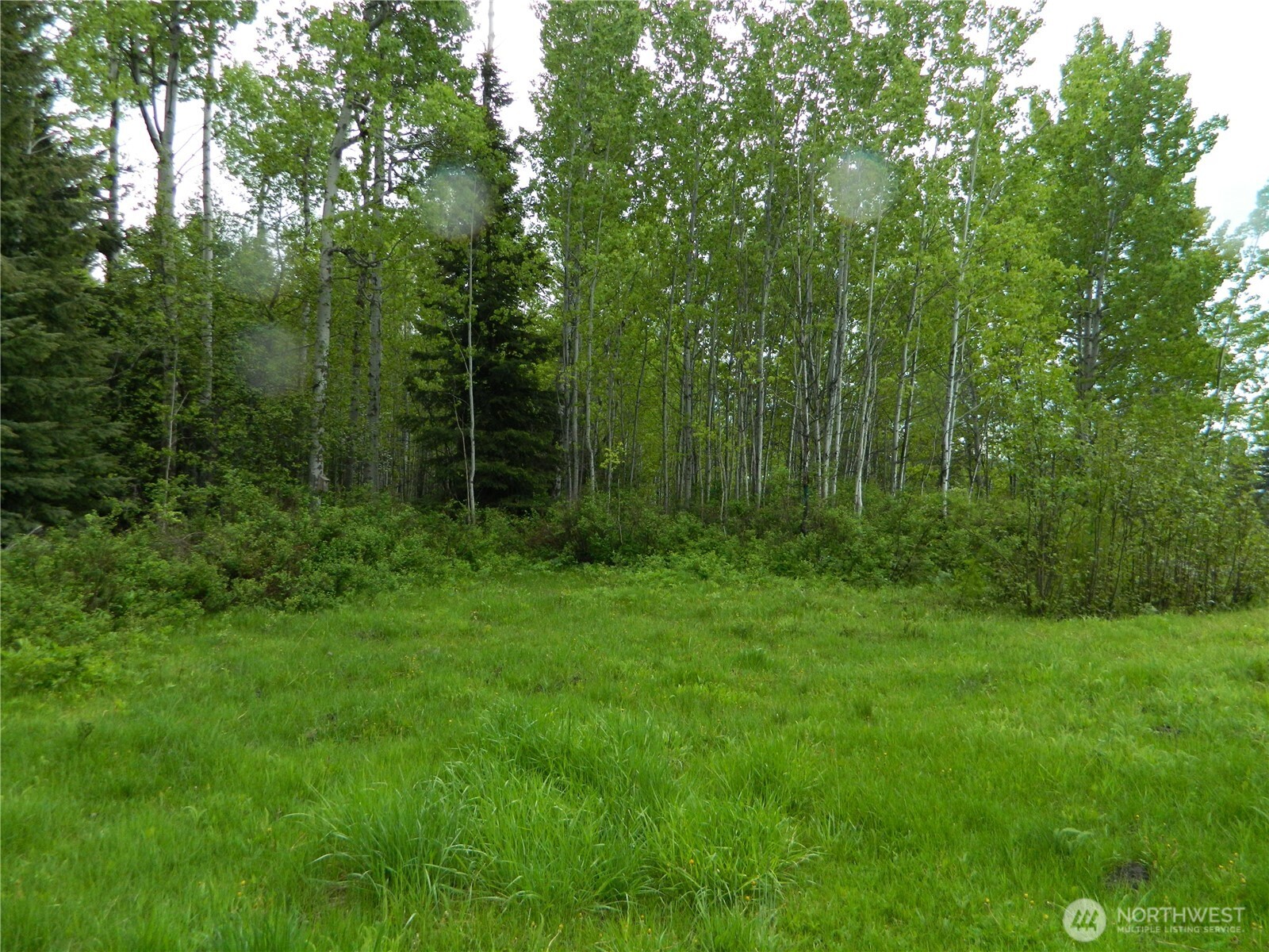 0 Tobys Mill Road Tonasket, WA 98855 - Photo 6 of 19 Gallery Image 6