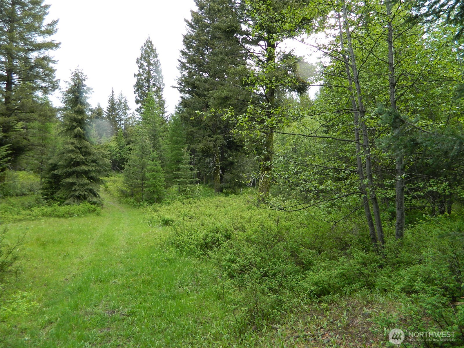 0 Tobys Mill Road Tonasket, WA 98855 - Photo 7 of 19 Gallery Image 7
