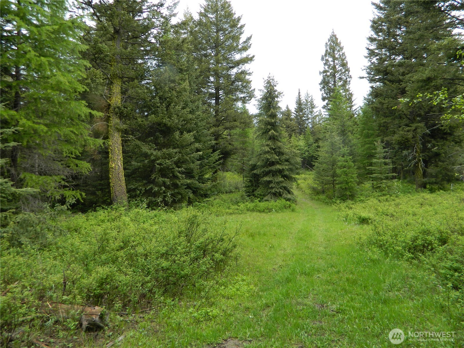 0 Tobys Mill Road Tonasket, WA 98855 - Photo 8 of 19 Gallery Image 8