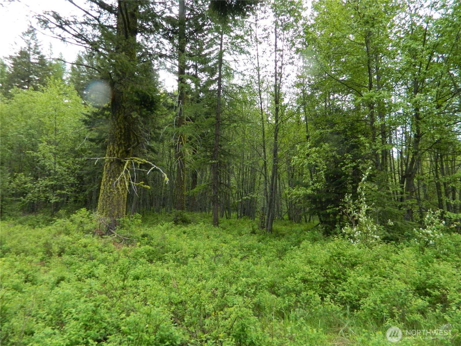 0 Tobys Mill Road Tonasket, WA 98855 - Photo 9 of 19 Gallery Image 9