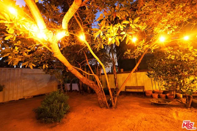 a view of trees and trees in the background