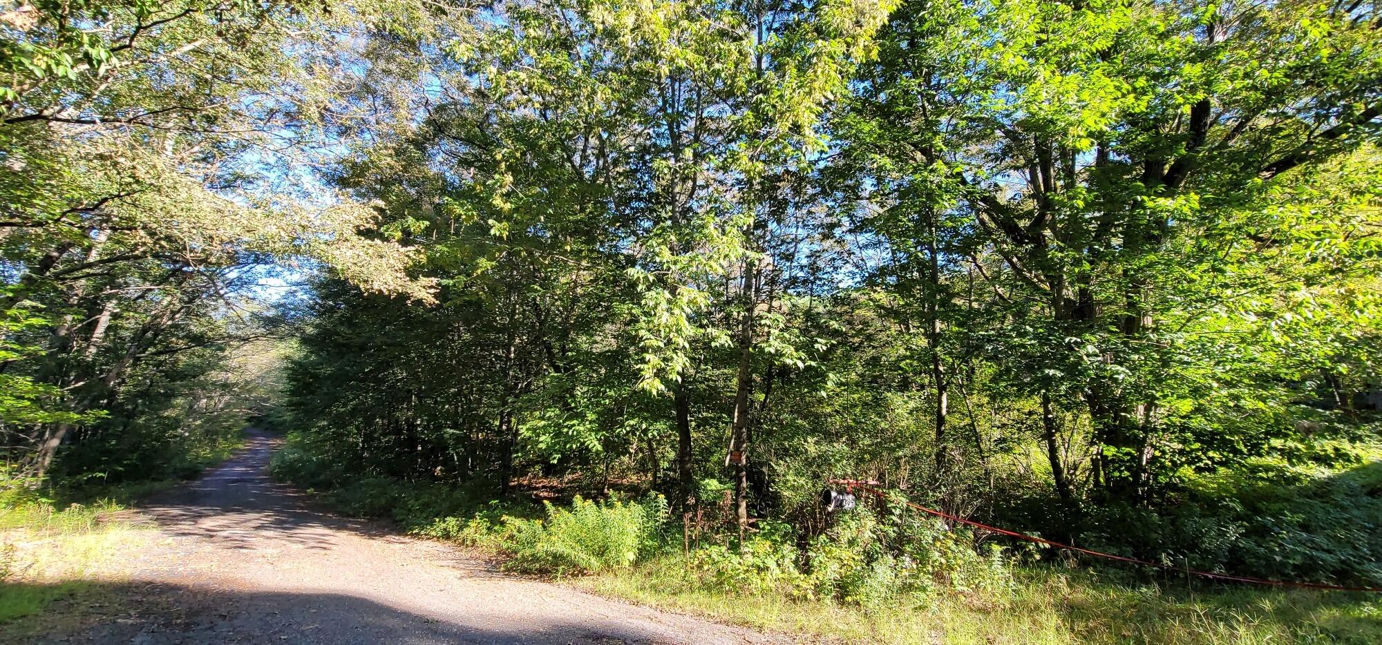 592 River Road Canton, ME 04221 - Photo 9 of 14 10