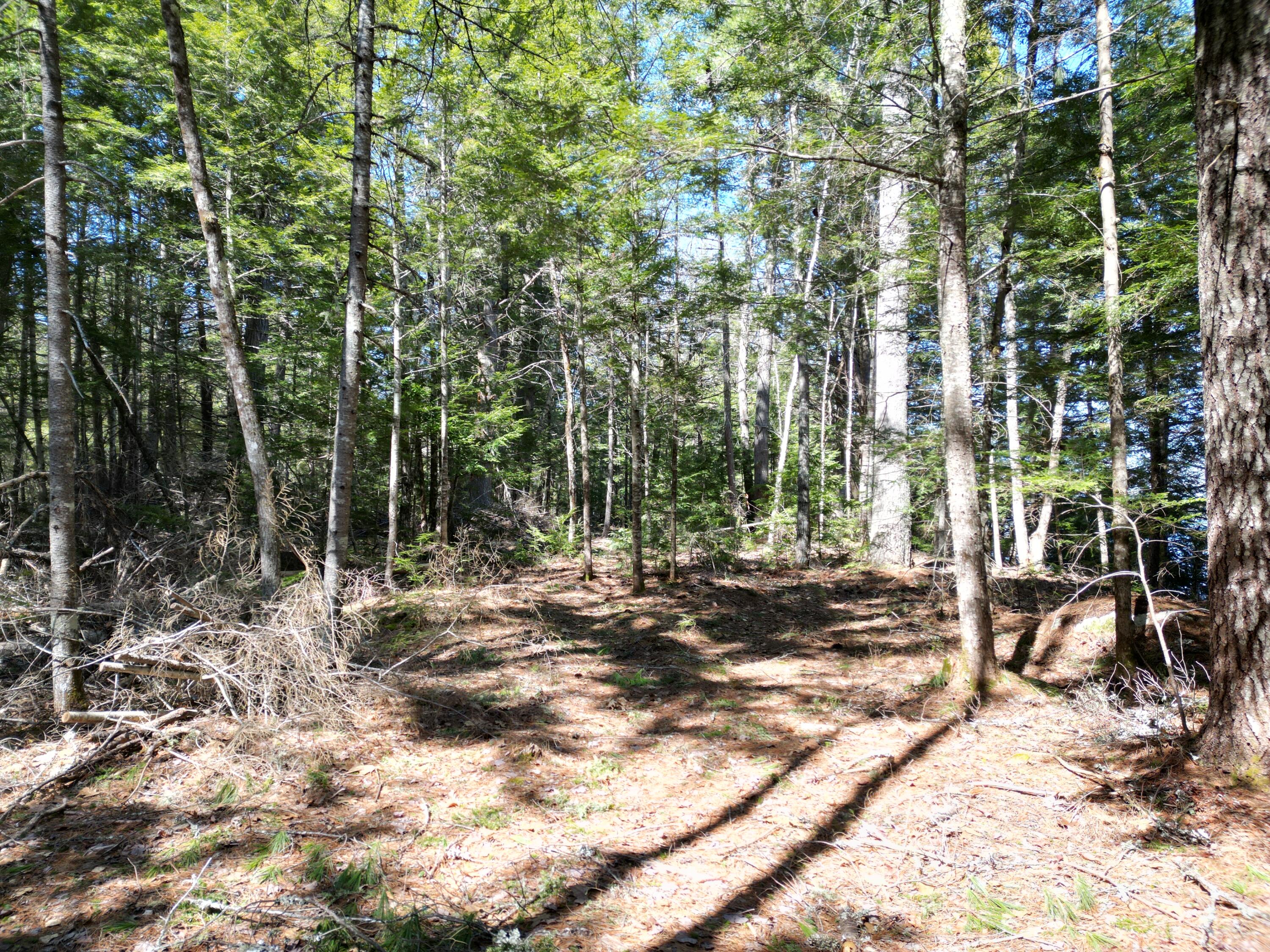 Tbd Edinburg Road Howland, ME 04448 - Photo 11 of 23 DJI_0011