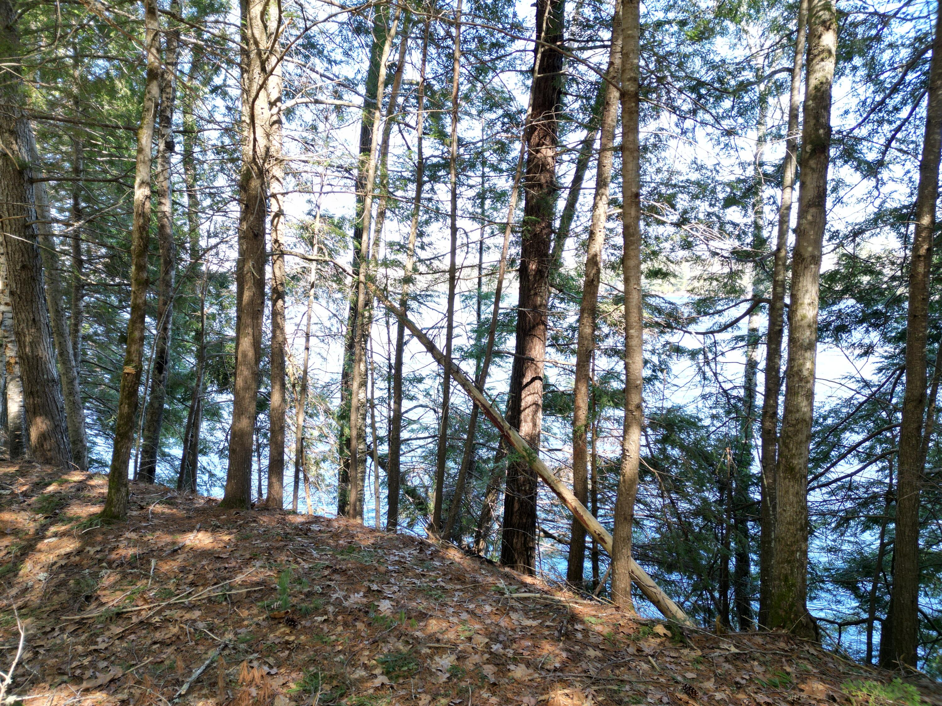 Tbd Edinburg Road Howland, ME 04448 - Photo 12 of 23 DJI_0012