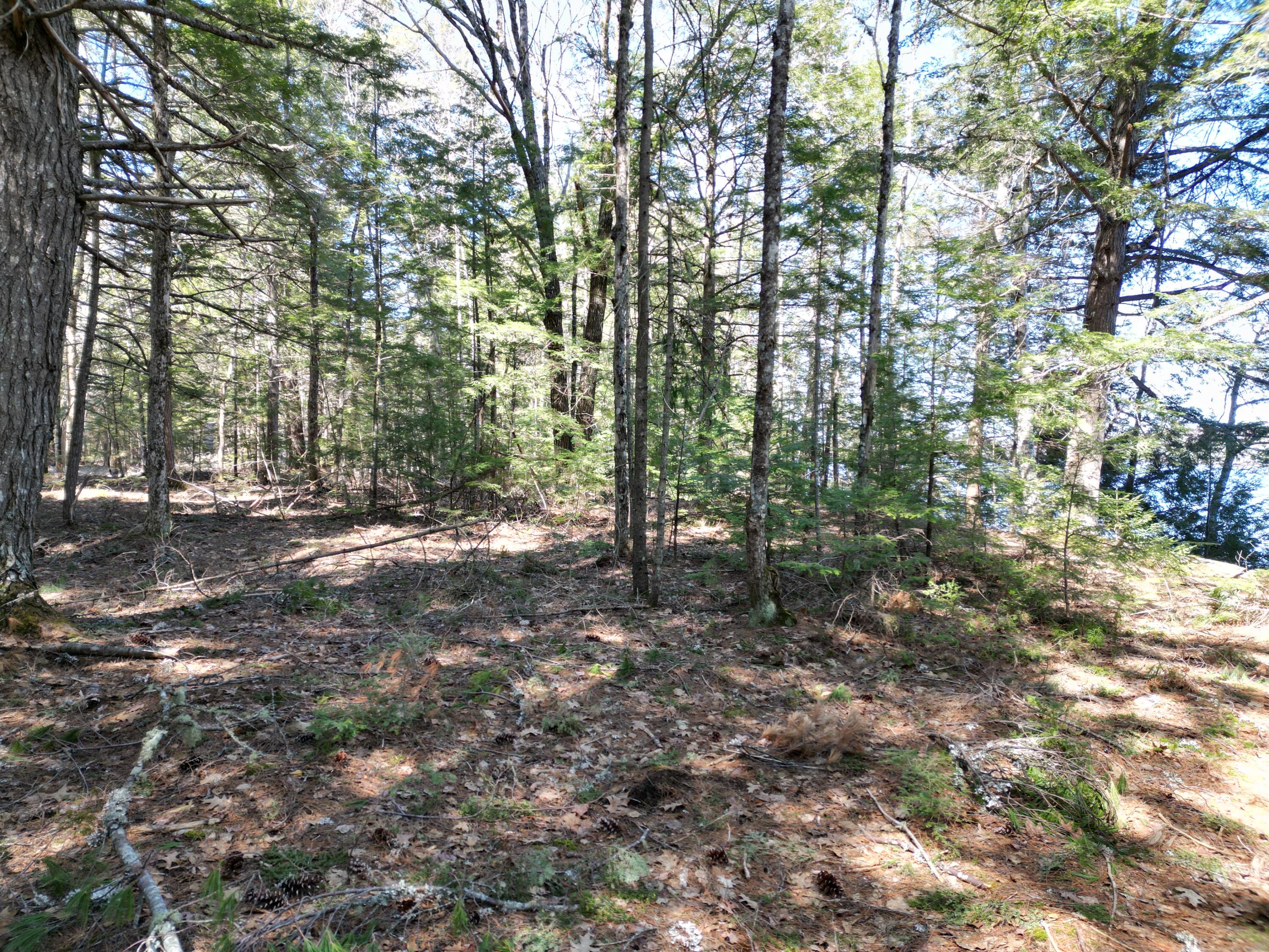 Tbd Edinburg Road Howland, ME 04448 - Photo 13 of 23 DJI_0013