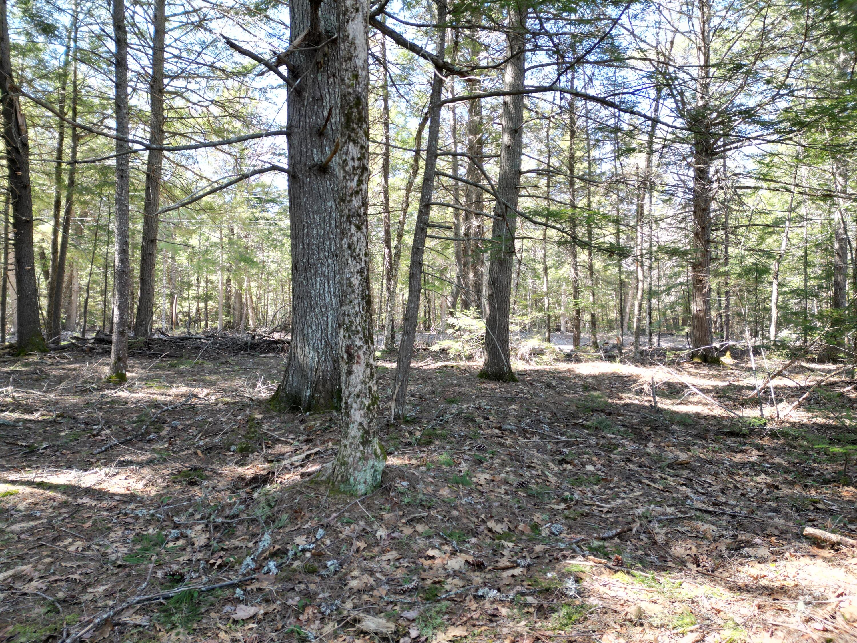 Tbd Edinburg Road Howland, ME 04448 - Photo 14 of 23 DJI_0014