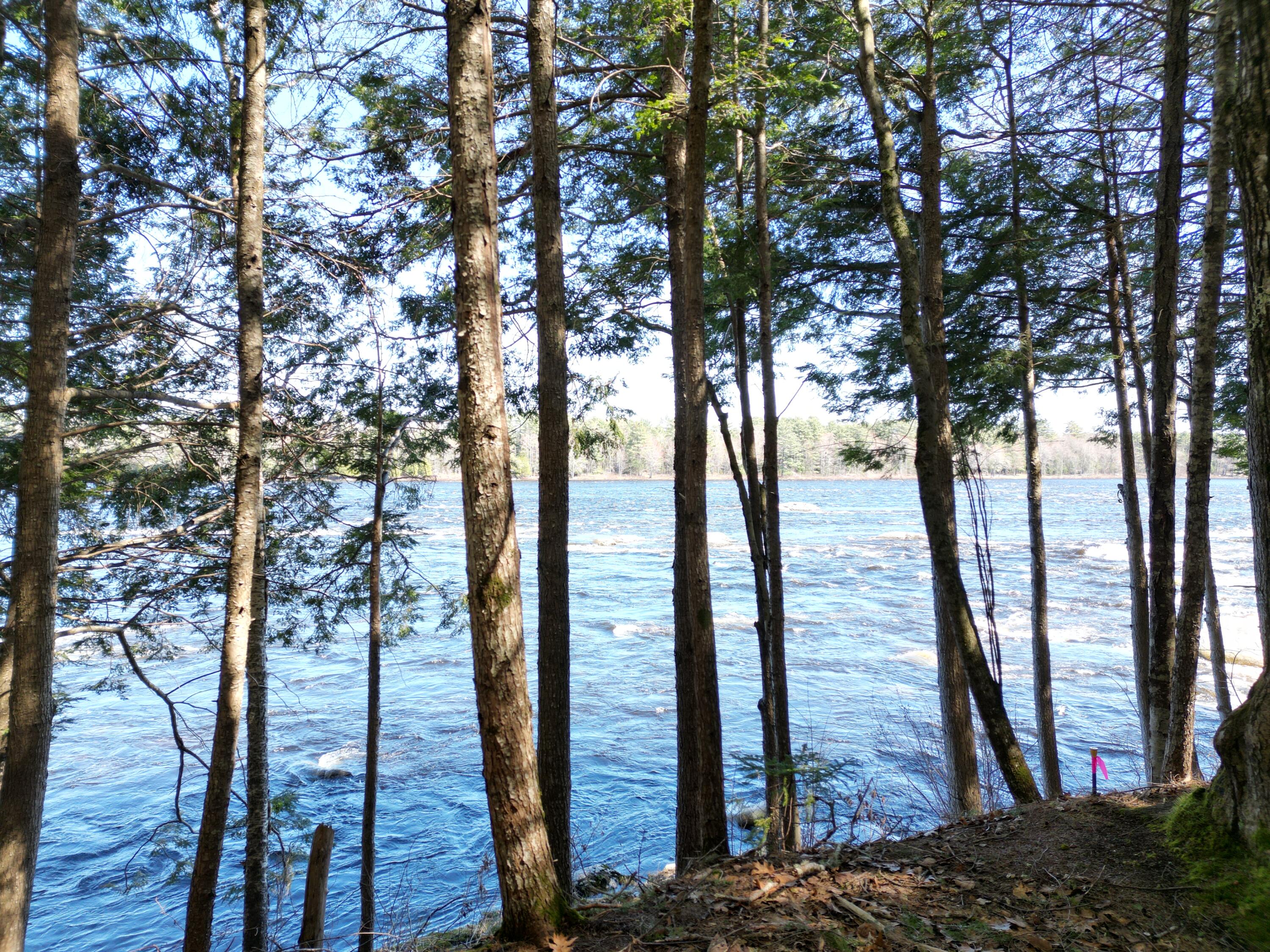 Tbd Edinburg Road Howland, ME 04448 - Photo 2 of 23 DJI_0005