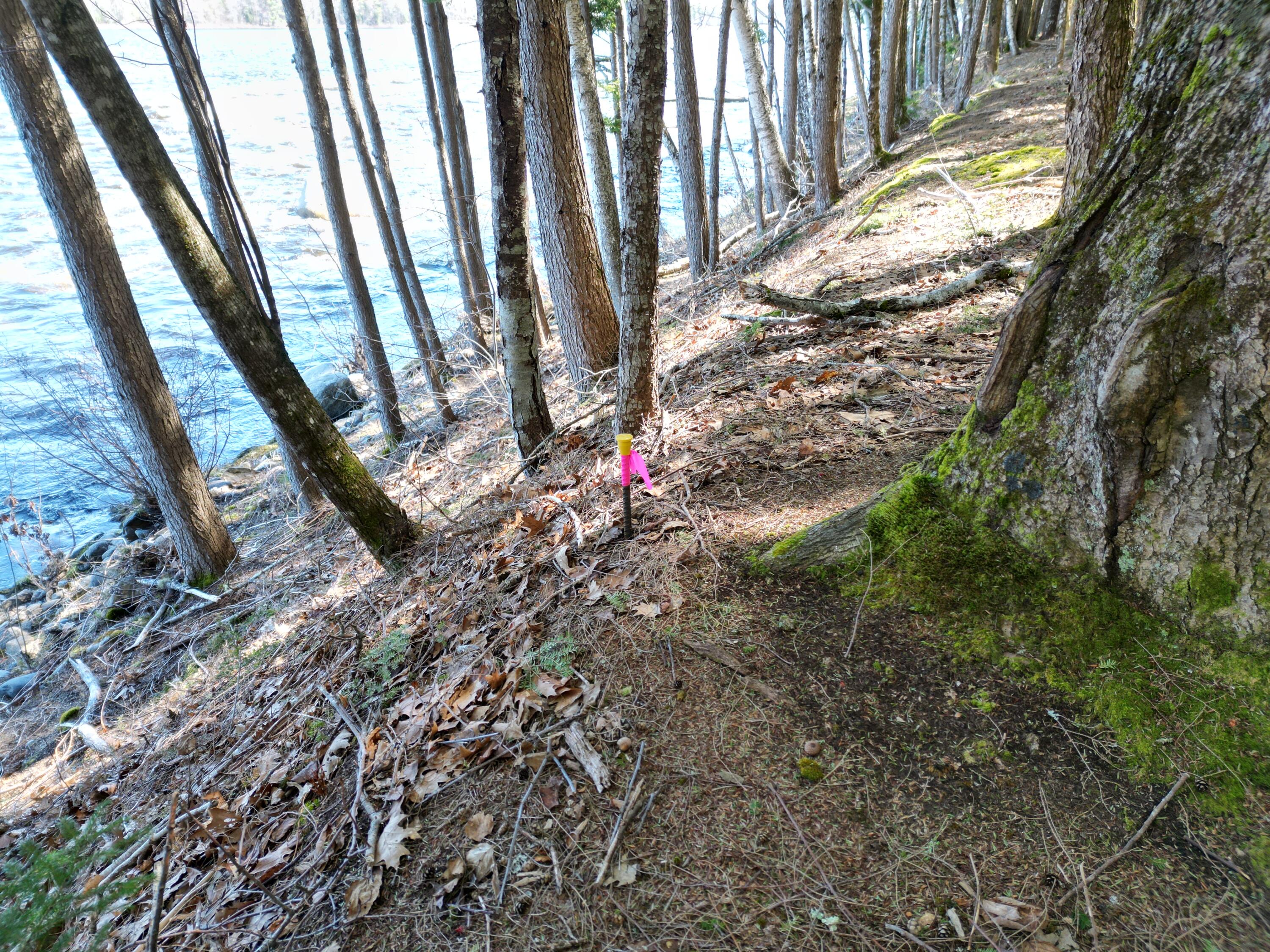 Tbd Edinburg Road Howland, ME 04448 - Photo 4 of 23 DJI_0003