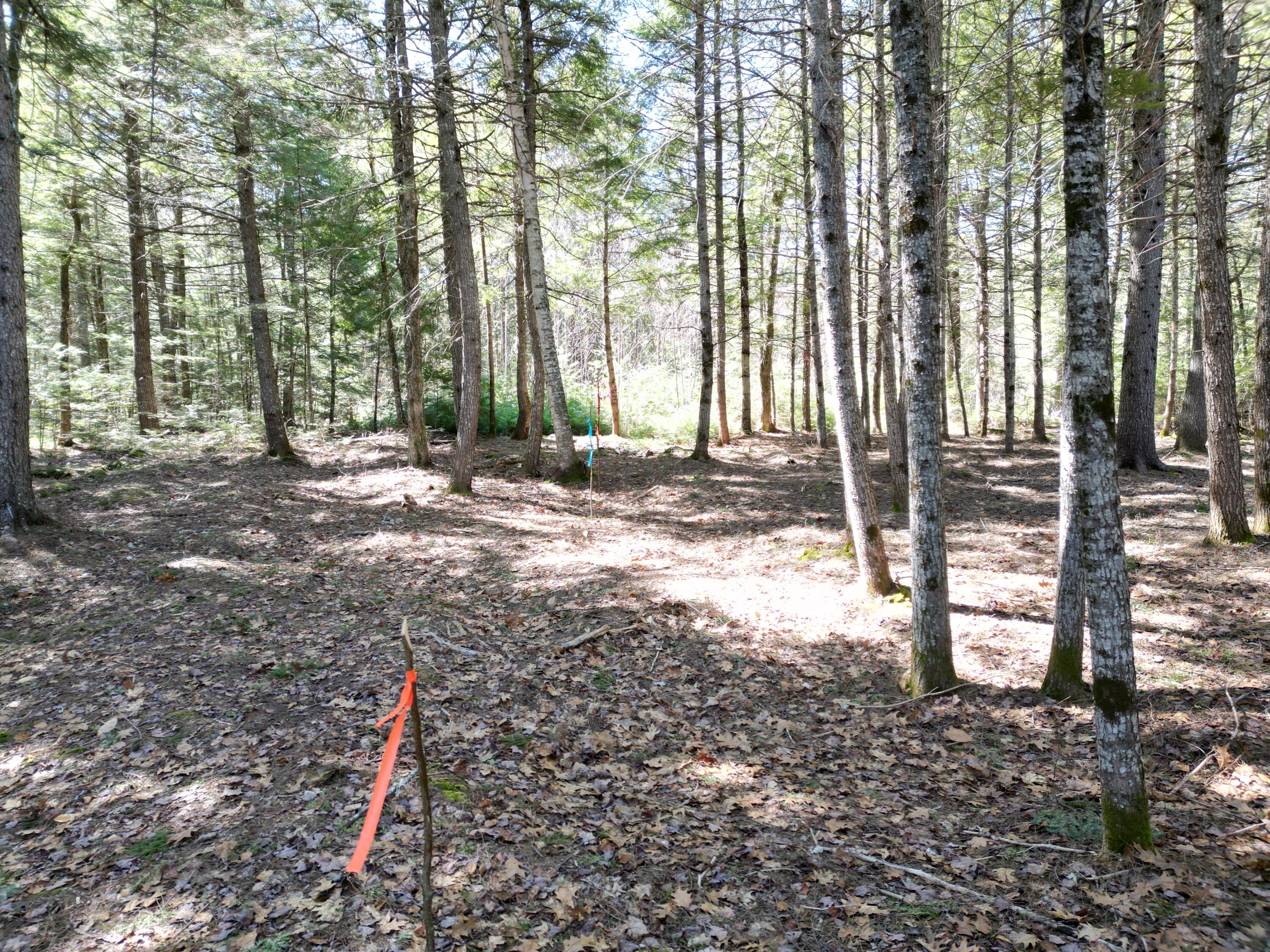 Tbd Edinburg Road Howland, ME 04448 - Photo 5 of 23 DJI_0004