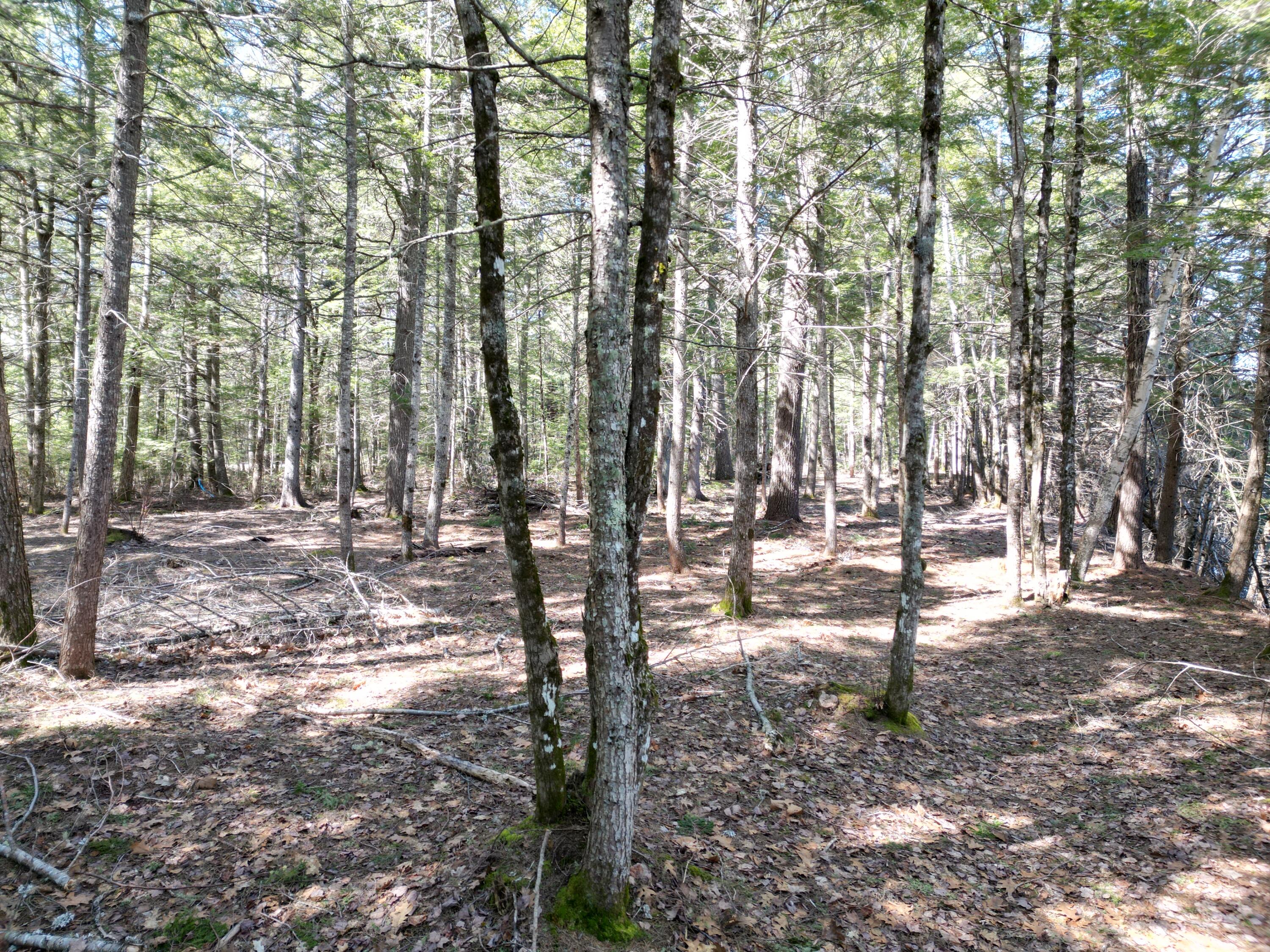 Tbd Edinburg Road Howland, ME 04448 - Photo 6 of 23 DJI_0006