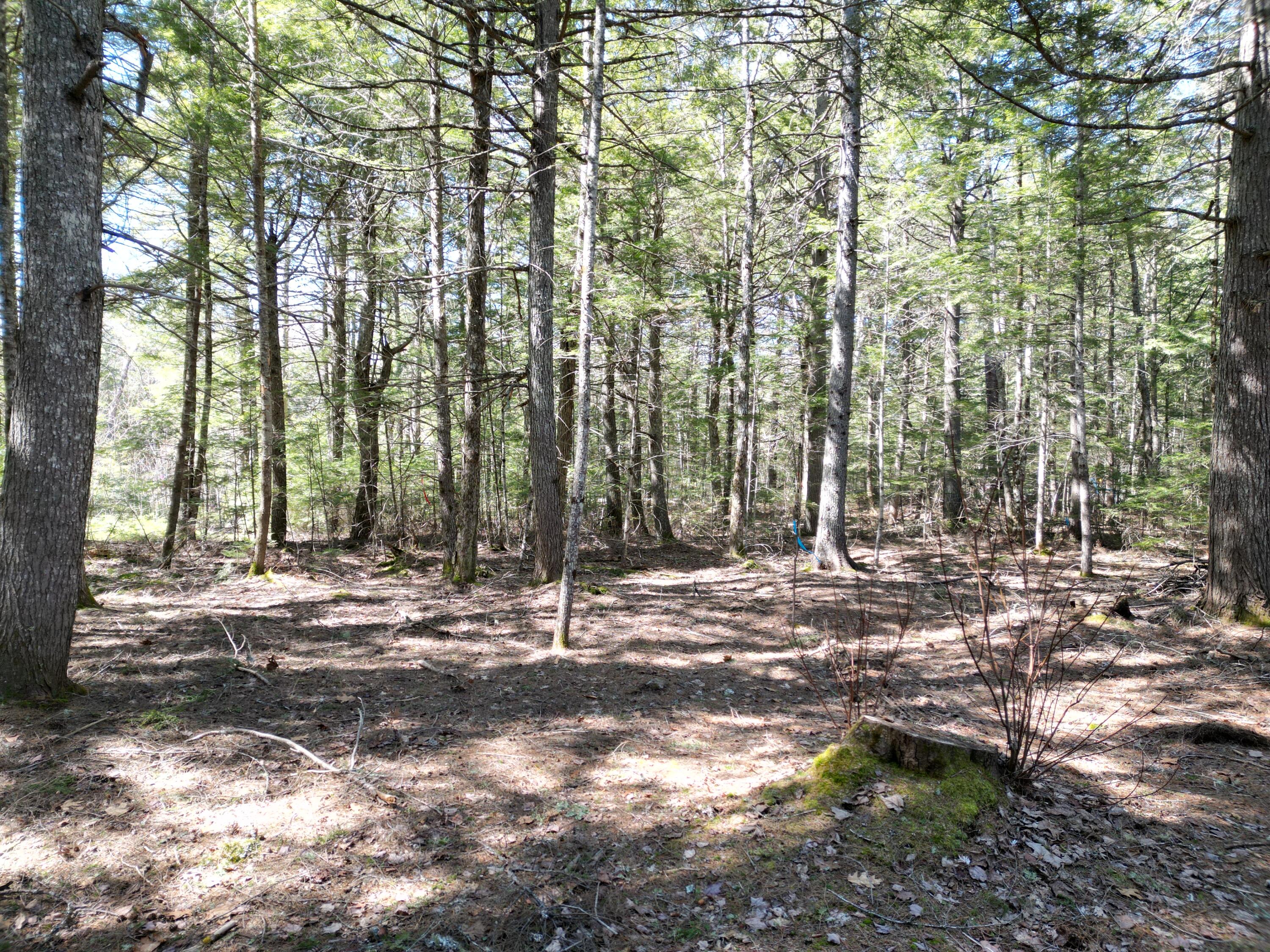 Tbd Edinburg Road Howland, ME 04448 - Photo 7 of 23 DJI_0007