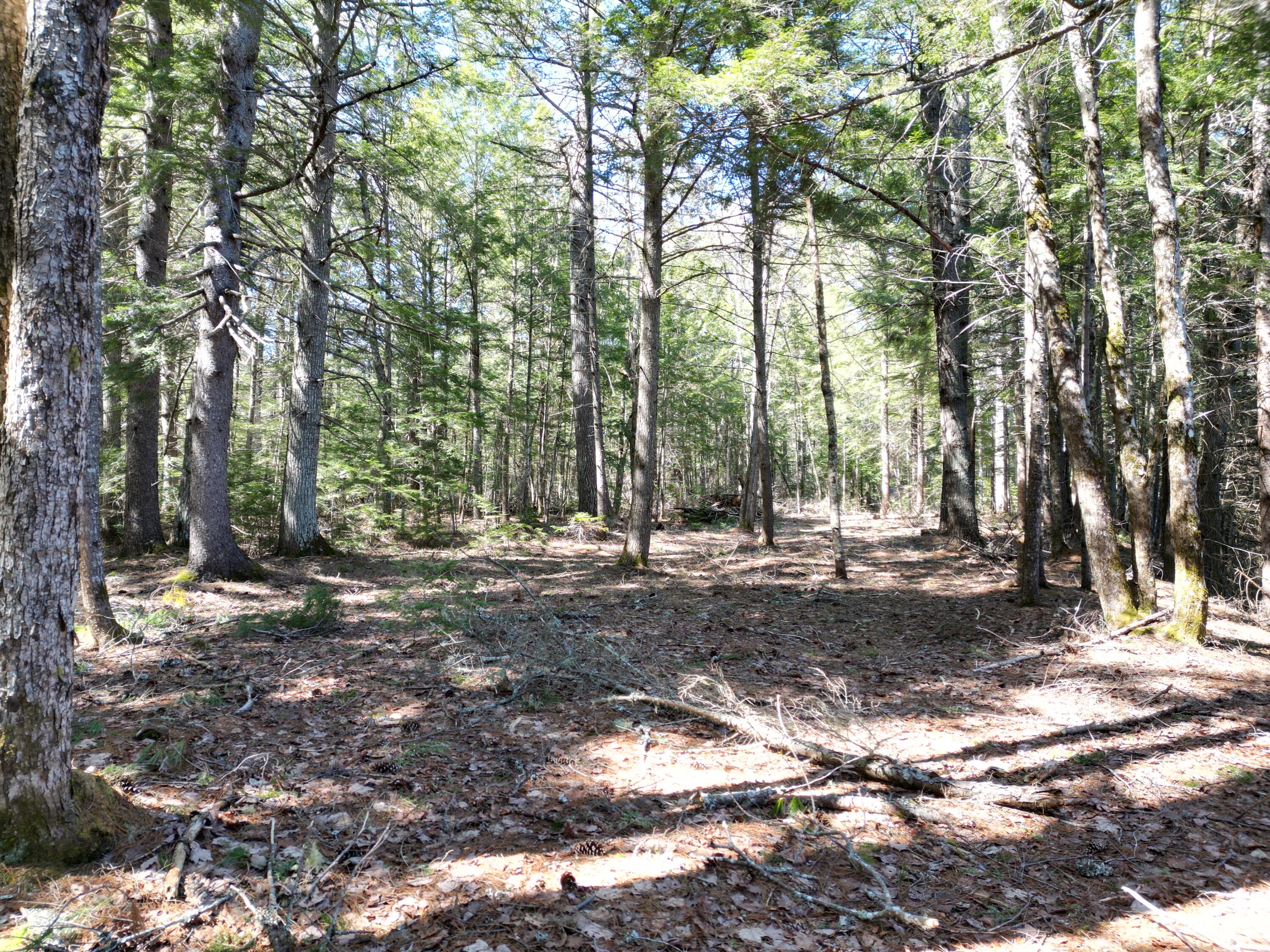 Tbd Edinburg Road Howland, ME 04448 - Photo 9 of 23 DJI_0009