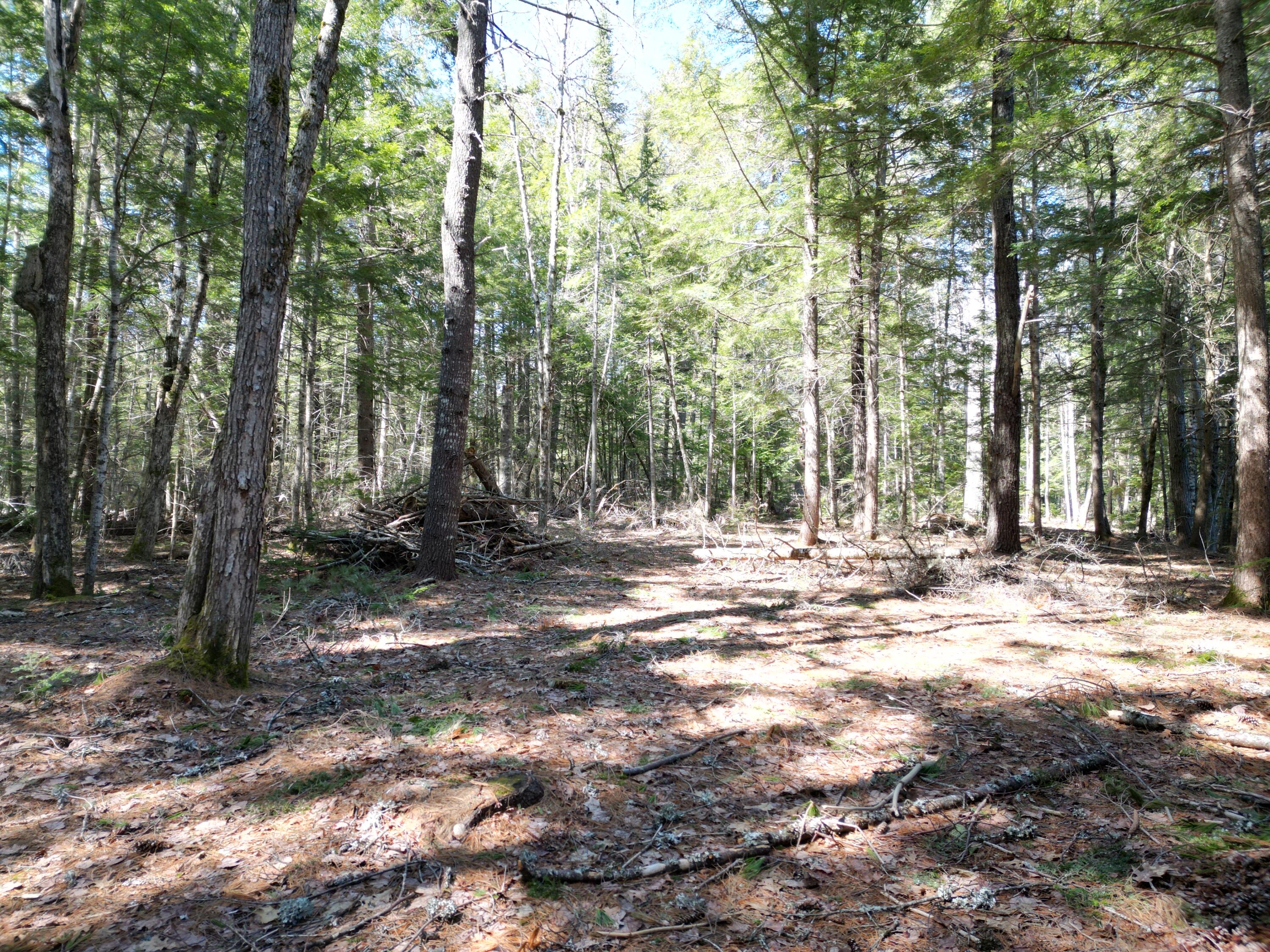 Tbd Edinburg Road Howland, ME 04448 - Photo 10 of 23 DJI_0010