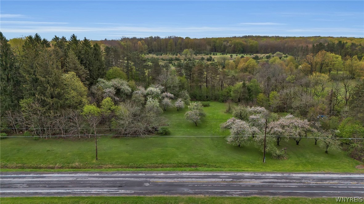 12979 Bullis Road Marilla, NY 14052 - Photo 45 of 50