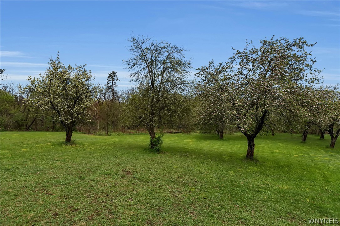 12979 Bullis Road Marilla, NY 14052 - Photo 47 of 50