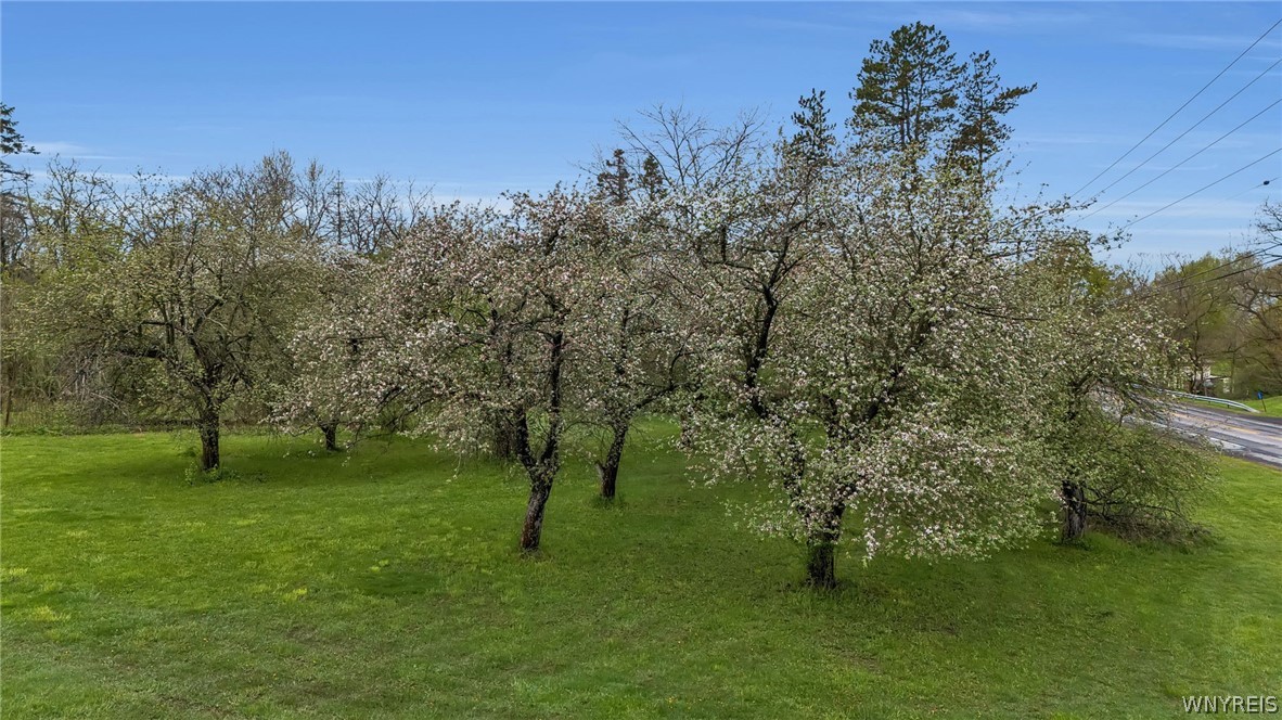 12979 Bullis Road Marilla, NY 14052 - Photo 48 of 50