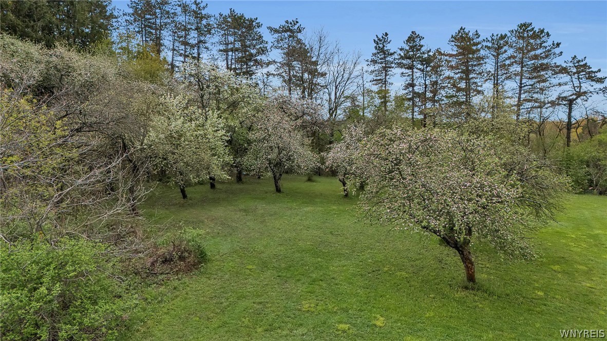 12979 Bullis Road Marilla, NY 14052 - Photo 49 of 50