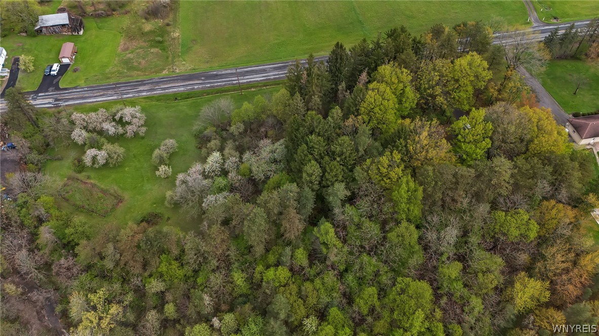 12979 Bullis Road Marilla, NY 14052 - Photo 7 of 50