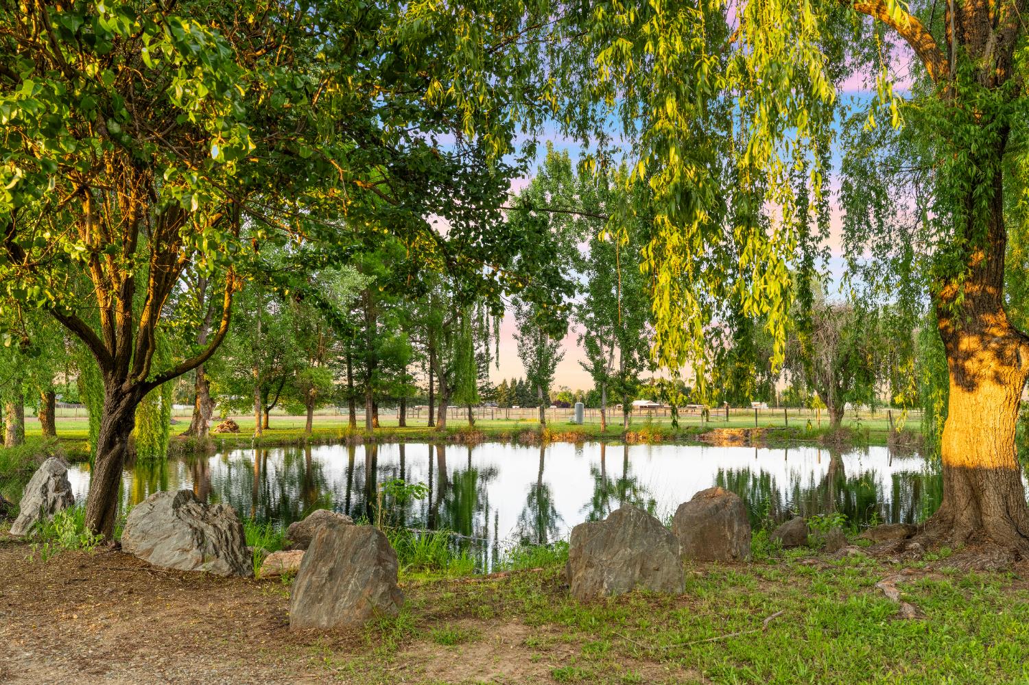 9475 Alta Mesa Road Wilton, CA 95693 - Photo 36 of 80